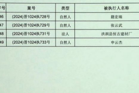 理论国产一级,引领科技创新，铸就民族品牌辉煌